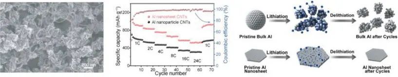 北化工孙晓明/刘文/罗亮AFM: 超薄铝纳米片作为低成本、高性能锂离子电池负极
