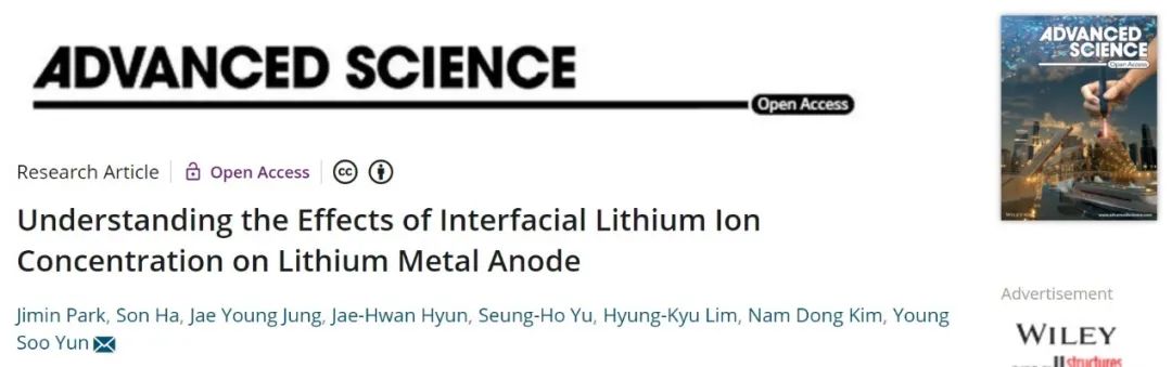 Adv. Sci：阐明界面锂离子浓度对锂金属负极的影响
