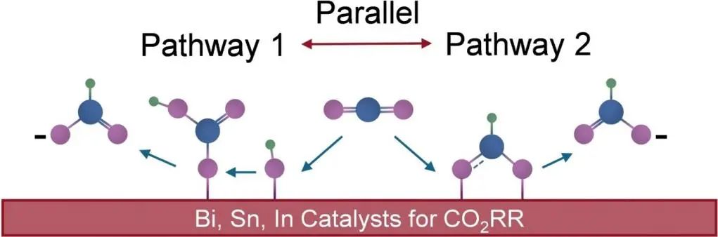 韩一帆/朱明辉/戴升Appl. Catal. B.: 探索表面羟基对Bi、Sn和In催化剂在CO2还原过程中的作用