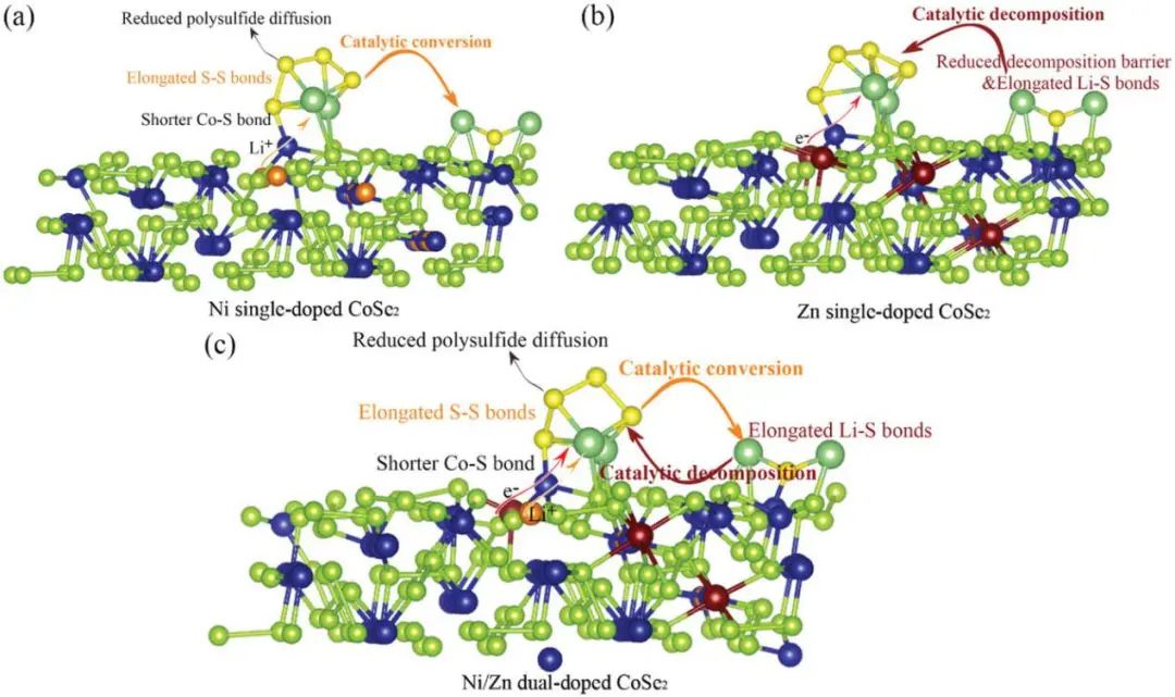 李喜飞/许云华AFM: CoSe2对锂硫电池的双功能催化作用：单掺杂与双掺杂