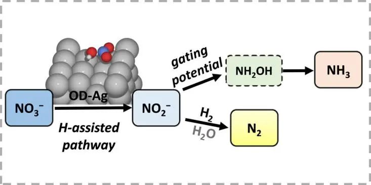 ACS Catalysis：对亚硝酸盐和氨的选择性可调的氧化物衍生银用于电催化硝酸盐还原