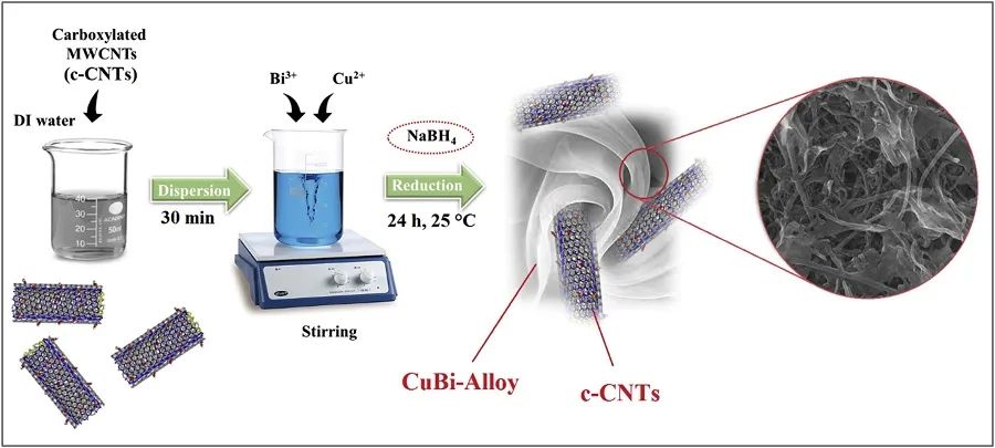 ​​​Appl. Catal. B.：一锅法！MWCNTs负载CuBi双金属合金纳米片作为降解氟喹诺酮类的高效光催化剂