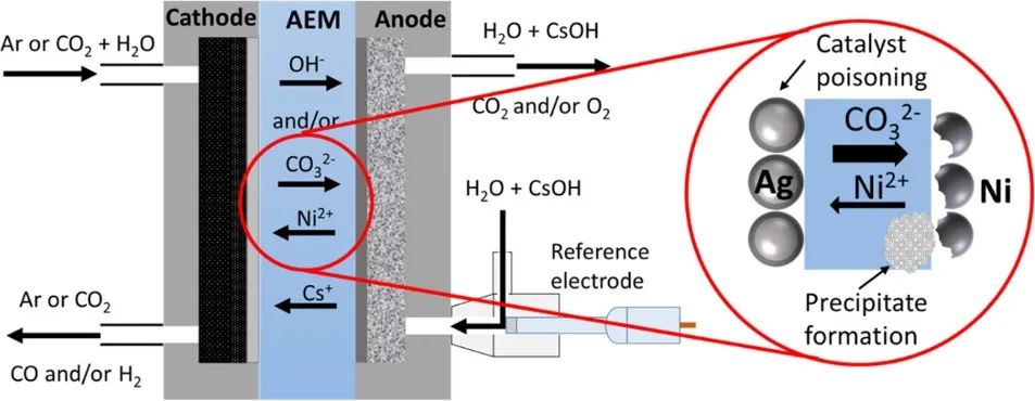 ACS Energy Lett.：局部化学环境控制CO2电解槽中的阳极过程