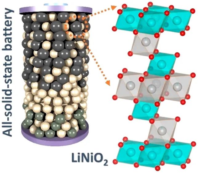 ACS Energy Lett.：LiNiO2在固态电池中的循环性能和局限性