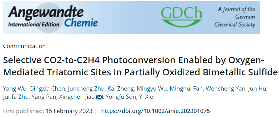 ​中科大/江大Angew.：FeCoS2实现选择性CO2光转化为C2H4