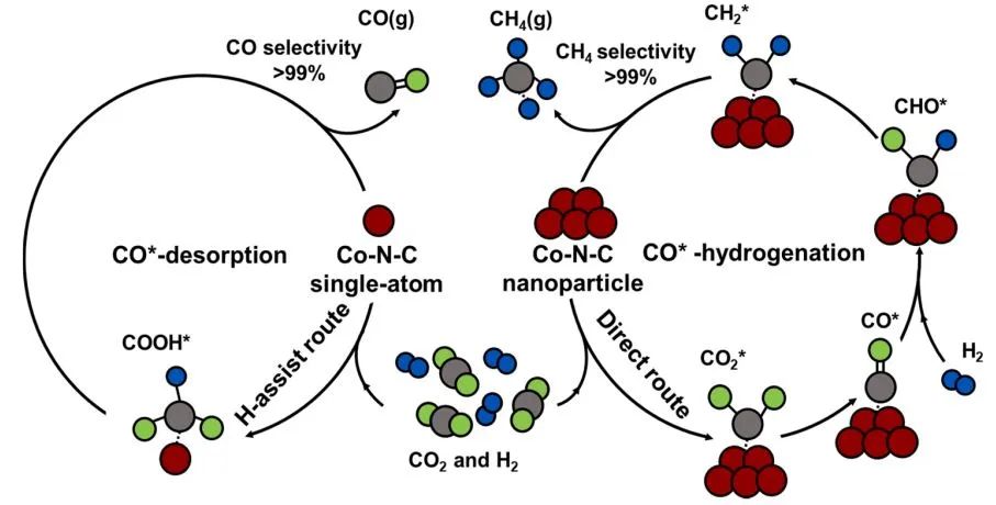 大连化物所​ACB：用于高效逆水煤气变换（RWGS）反应的Co-N-C单原子催化剂
