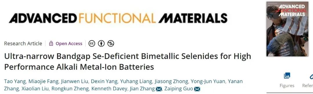 郭再萍/张鉴AFM：基于双金属硒化物的高性能碱金属离子电池！
