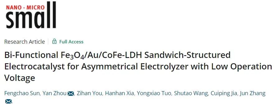 张军/周炎Small: 电池电压最低值！双功能Fe3O4/Au/CoFe-LDH夹层结构电催化剂用于不对称电解槽