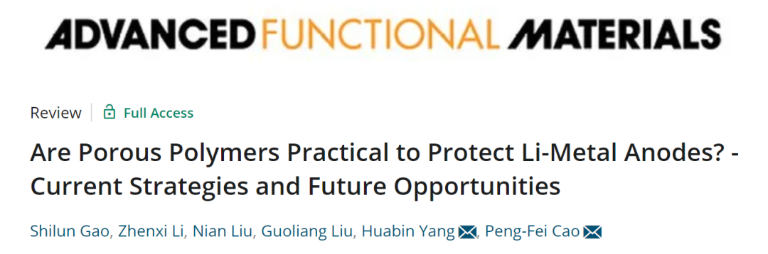 曹鹏飞/杨化滨AFM综述：多孔聚合物作为锂负极保护层的现状及未来发展