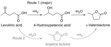 云大方文浩Appl. Catal. B.：Sn-Mn氧化物中的协同作用用于乙酰丙酸的选择性转化