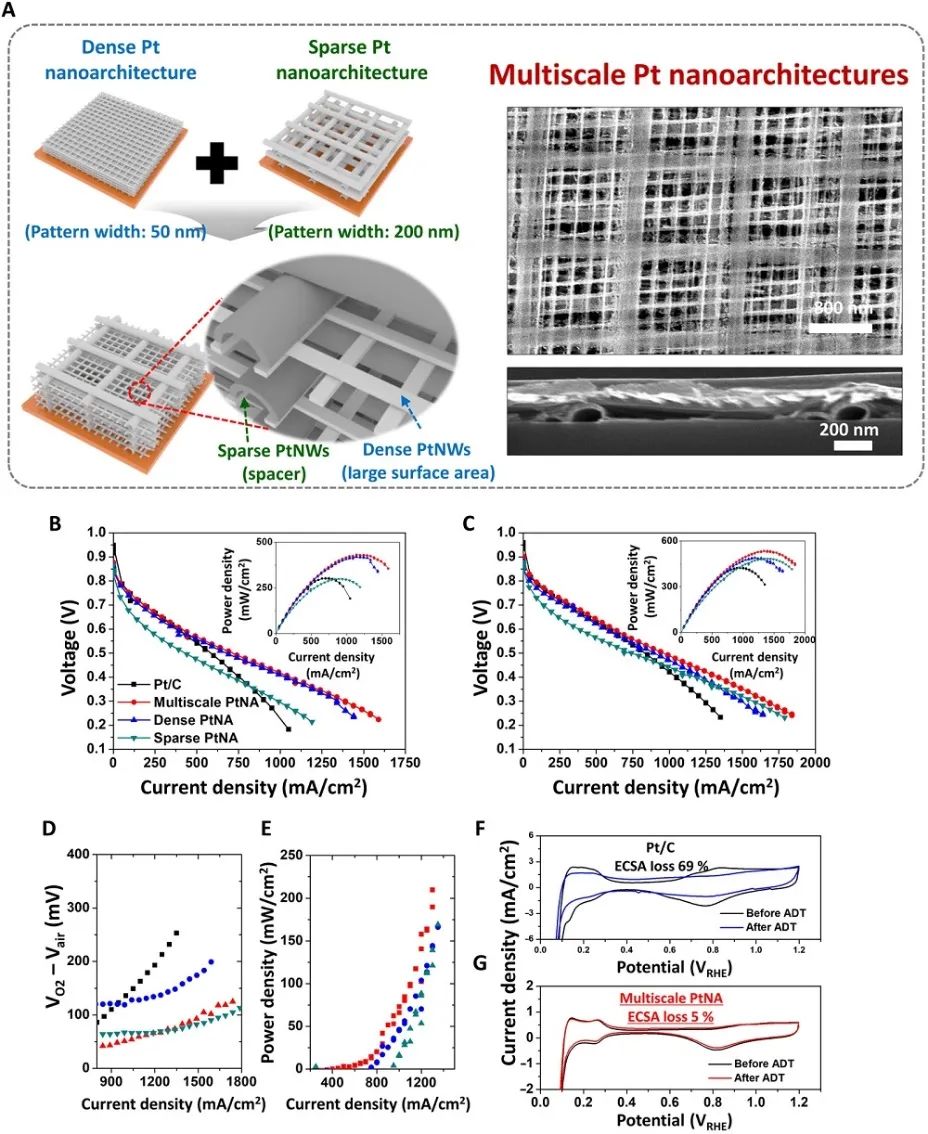 Science Advances：结构调制的3D电催化剂用于高性能燃料电池电极