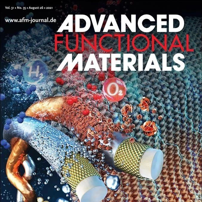 韩国电子技术研究所AFM: 牺牲正极实现无锂铟层全固态电池的稳定循环