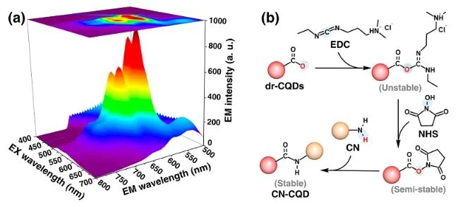 ​王亮课题组ACS Nano：酰胺共价键工程：显著增强CN-CQD光催化CO2还原活性