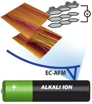 Advanced Energy Materials：利用原位电化学原子力显微镜表征电池