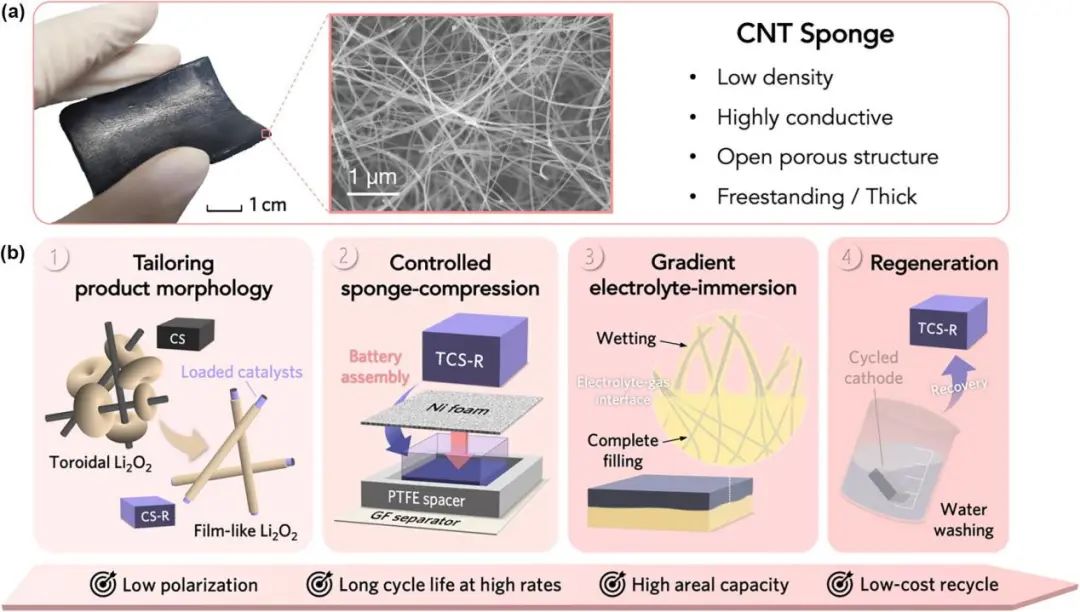 北大曹安源Mater. Today: 结构优化的CNT海绵作为高性能锂氧电池正极