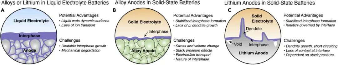 最新Joule综述: 固态电池合金负极！