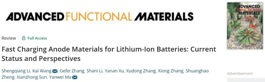 马衍伟/王凯AFM：一文尽览锂电快充负极材料-现状与未来！