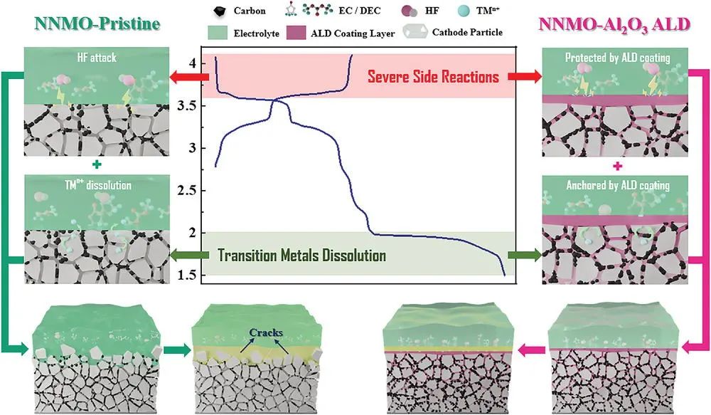 北大肖荫果AFM: 抑制高性能钠离子电池双相钠层正极失效的表面工程
