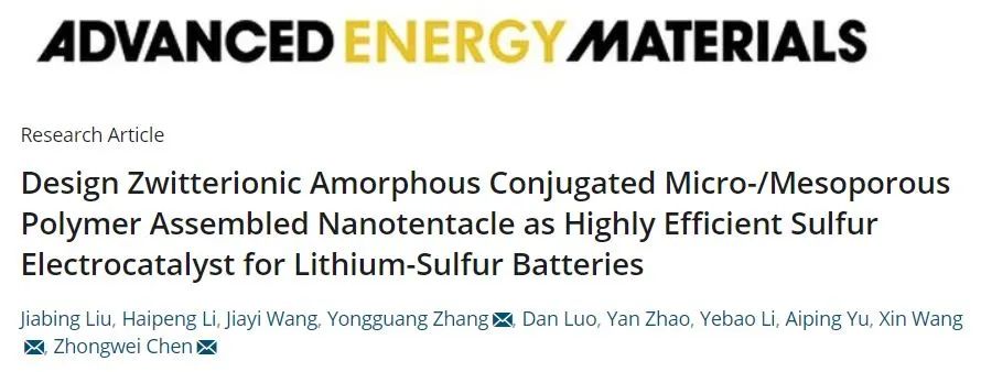 陈忠伟/王新/张永光AM: 两性离子非晶共轭微/介孔聚合物组装纳米触手作为锂硫电池的高效催化剂