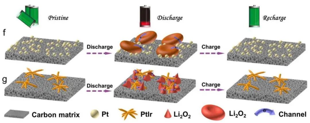 北大郭少军Angew：低Lewis酸度的多荚状PtIr助力高性能Li-O2电池！