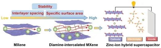 陈义旺&袁凯AFM：具有更高稳定性和储锌性能的3D MXenes层间距调控
