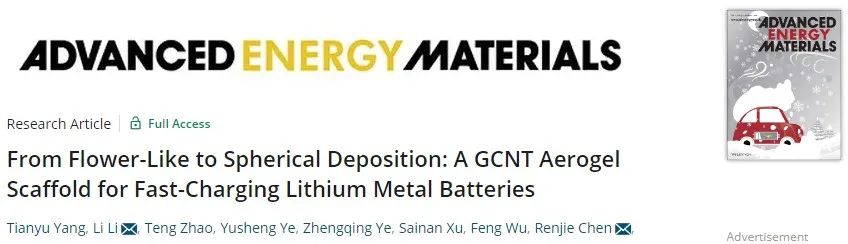 北理陈人杰/李丽AEM：石墨烯/碳纳米管气凝胶主体实现快充锂金属电池