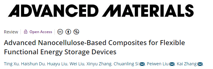 张凯/刘培文/司传领AM综述：用于柔性功能储能设备的先进纳米纤维素基复合材料