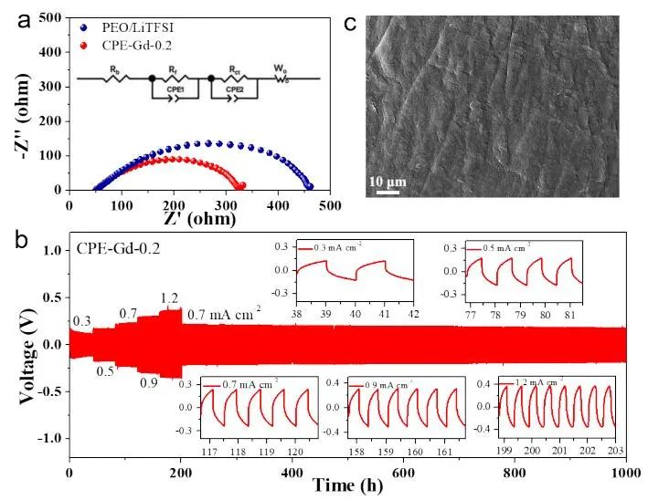 康卫民/刘瑞平/李玉涛EEM：具有丰富表面氧空位的CeO2纳米线可实现复合聚合物电解质中的快速锂离子传导