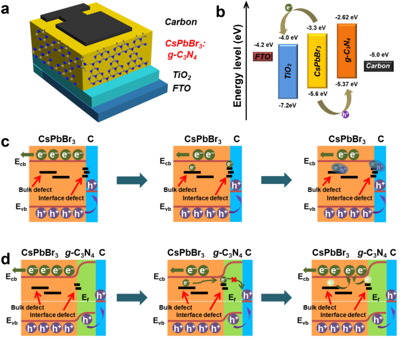 g-C3N4孤对电子钝化CsPbBr3晶界——提高全无机钙钛矿太阳电池的光电效率