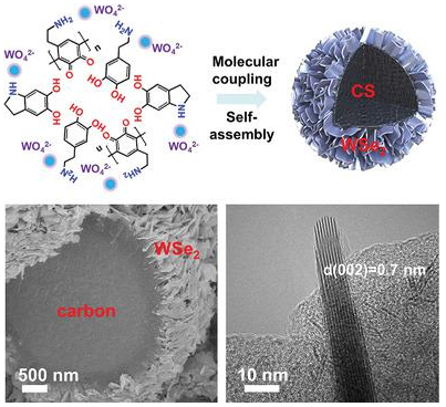 唐永炳/杨景海Small Methods：WSe2/碳微纳分级结构的分子偶联和自组装提高钠离子存储