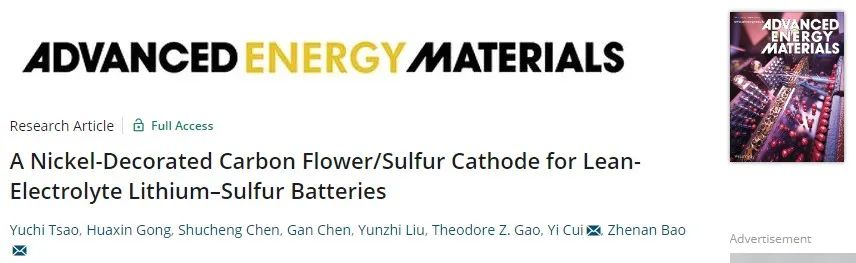 鲍哲南/崔屹再联手！巧设计硫宿主实现高性能实用锂硫电池！