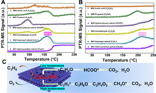 何炽团队JACS Au：关于Co3O4亚纳米多孔片上的低温丙烷活化和矿化过程的原子尺度研究