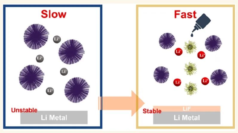 ​中南纪效波ACS Nano：定制Li+动力学和界面氟化以获得稳定的固体锂电池