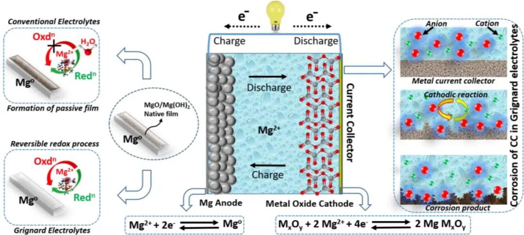 EnSM：可充电镁离子电池的低高温电化学特性