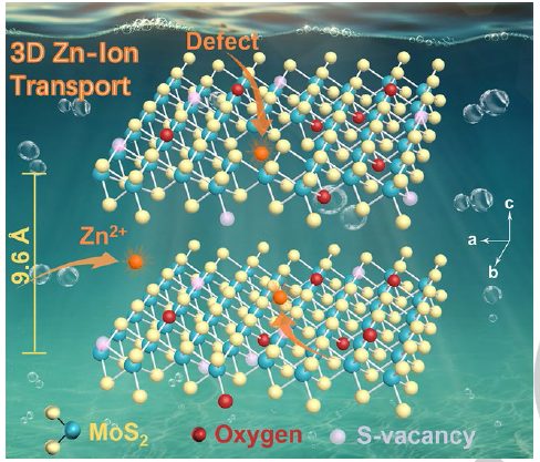 ​刘永畅Angew：MoS2的分子工程助力高性能水系锌离子存储