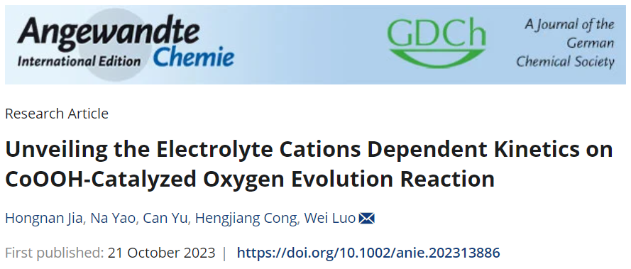 武汉大学罗威教授Angew：CoOOH催化OER的电解质离子依赖性动力学