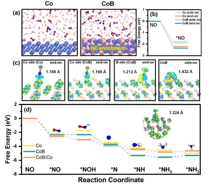 【DFT+实验】Nano Letters：B调控Co位点的电子结构，有效增强NO转化为NH3的活性