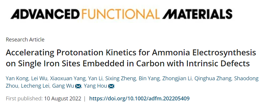 浙大侯阳AFM：本征碳缺陷协同加速Fe单原子位点电合成氨的质子化反应动力学速率
