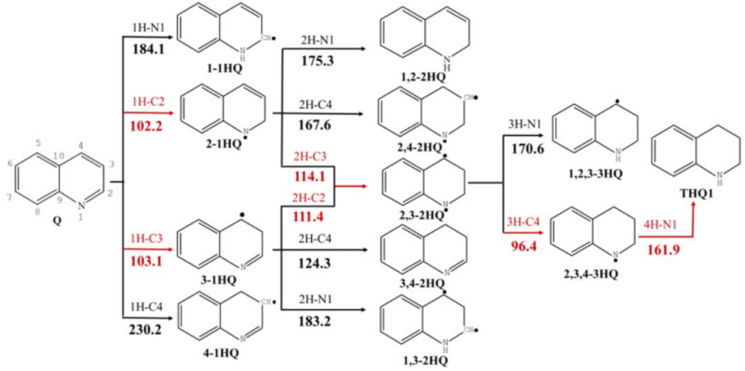 【MS论文精读】太原理工Molecular Catalysis：喹啉在MoP（010）表面的加氢脱氮机理研究