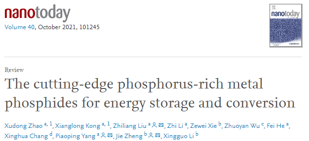 刘志亮/杨飘萍/郑捷Nano Today：用于能量存储和转换的尖端富磷金属磷化物