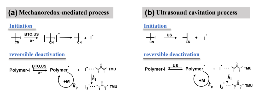 【DFT+实验】压电催化剂促进超声辅助的碘调控可逆失活自由基聚合