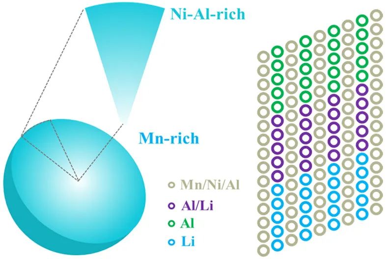 广工大ACS Energy Lett.: Ni/Mn和Al双浓度梯度减轻富锂层状正极的电压衰减和容量衰减