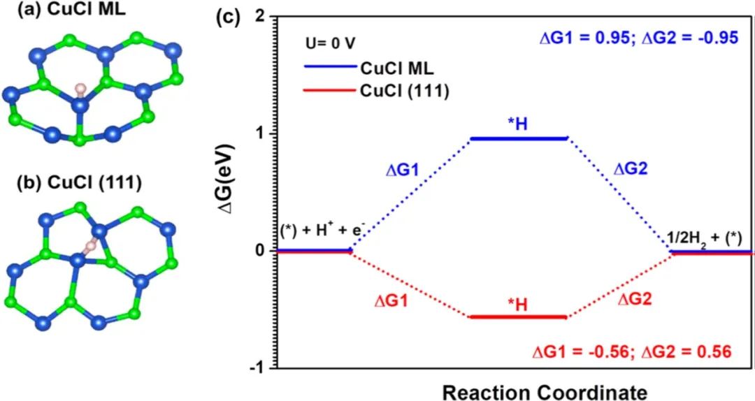 ACS ANM：六方晶系单层氯化亚铜催化水分解反应的密度泛函理论研究！