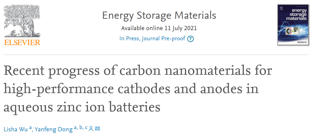 东北大学EnSM: 水系锌离子电池高性能正负极用碳纳米材料的研究进展