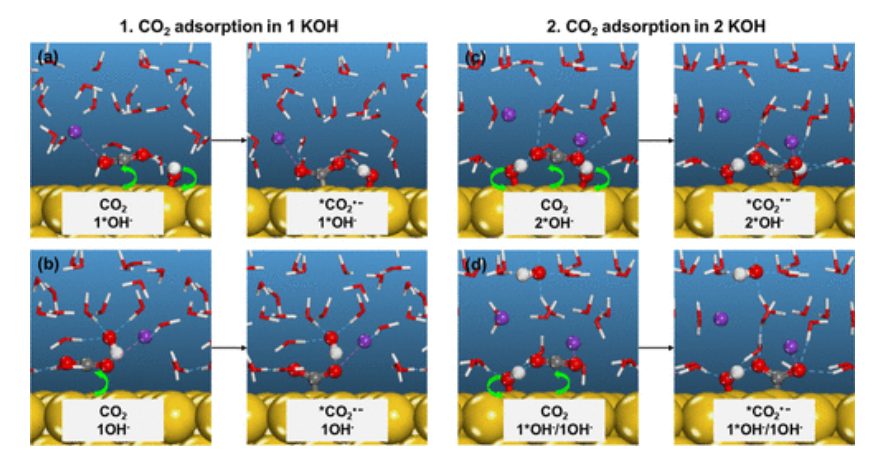 ACS Catalysis：KOH浓度的影响和OH–在CO2电催化还原中的作用