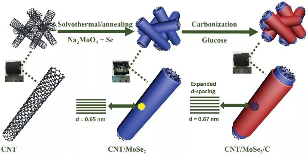 【钠电】北京大学AEM：三维CNT/MoSe2/C异质结构高效储钠