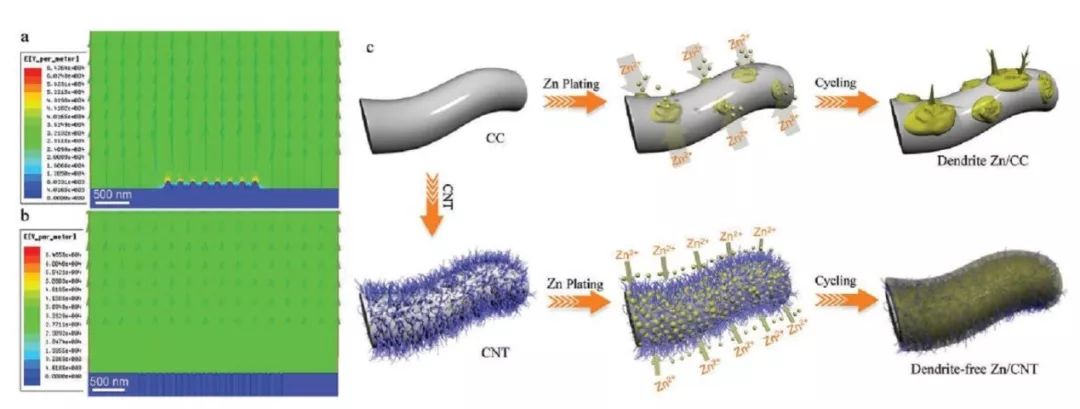 中山大学AM：多功能柔性3D碳纳米管（CNT）作为锌沉积/溶解骨架实现无树枝化锌负极