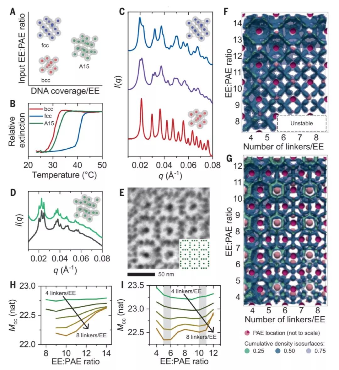 Science：类似于金属中经典电子云图像，分子动力学模拟助力揭示胶体晶体自组装规律