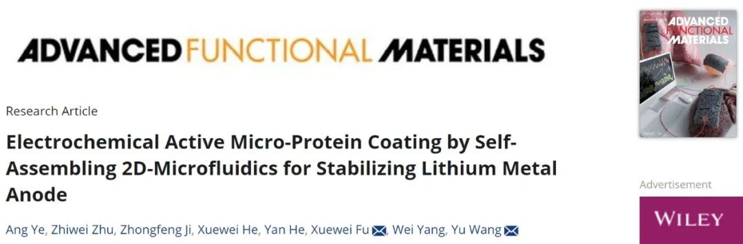 王宇/傅雪薇AFM：通过自组装二维微流体技术获得功能涂层稳定锂金属负极