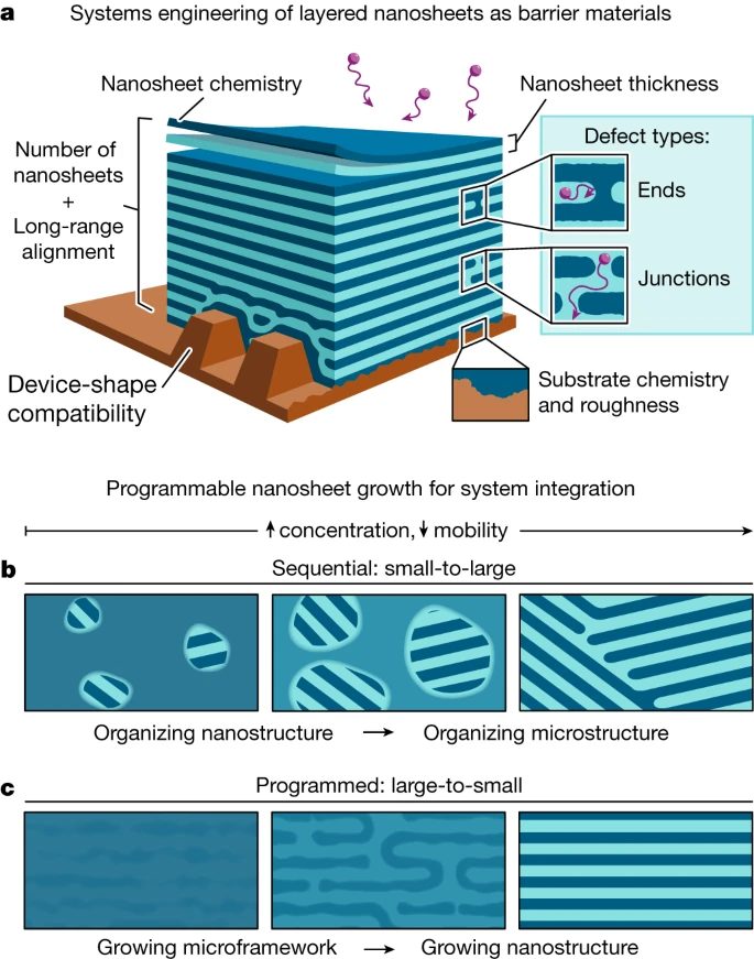 最新Nature：熵驱动，让纳米材料按编程生长！